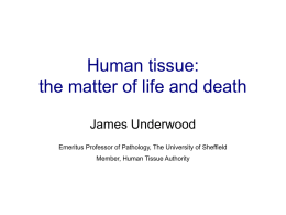 Human tissue: the matter of life and death