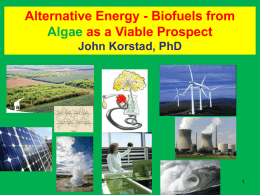 Alternative Energy - Biofuels From Algae as a Viable Prospect