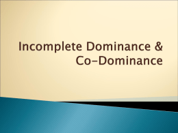 Incomplete Dominance & Co-Dominance