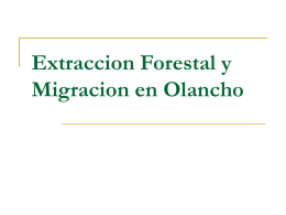 Extraccion _Forestal..