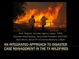 An integrated approach to Disaster case management in the TX
