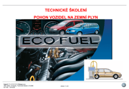 VW_ecofuel