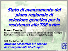 Il piano nazionale e regionale di selezione gentica per la resistenza