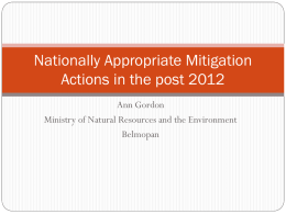 Nationally Appropriate Mitigation Actions - ACP