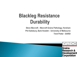 Blackleg Resistance Durability - Australian Oilseeds Federation