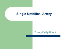 Single Umbilical Artery - Resmy Palliyil Gopi, M.D.
