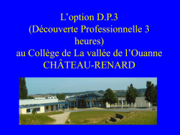 La DP3 au Collège de La vallée de l`Ouanne CHÂTEAU