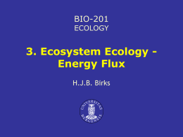 Ecosystem ecology - energy flux