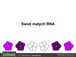 Świat RNA