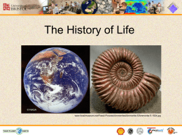 The History of Life PowerPoint
