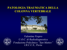 Vespro - Colonna vertebrale - IRCCS Policlinico San Matteo