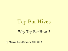 Top Bar Hives