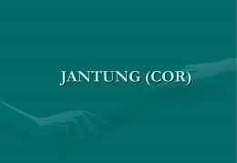 JANTUNG (COR)