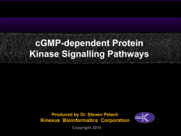 PKG_Signalling - Kinexus Bioinformatics Corporation