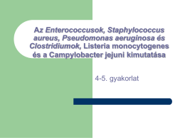 Az Enterococcusok, Staphylococcus aureus, Pseudomonas