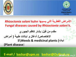 الأمراض الفطرية التي يسببها Rhizoctonia solani kuhn Fungal
