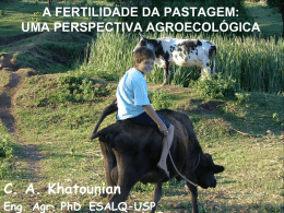 pastagem fertilidade perspectiva agroecologica