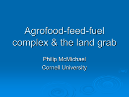 Agrofood-feed-fuel complex and the land grab