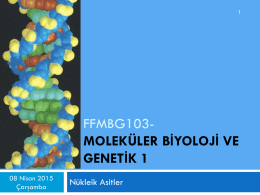 FFMBG103- MOLEKÜLER BİYOLOJİ VE GENETİK 1