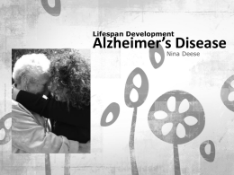 The Brain and Alzheimer`s Disease