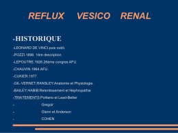 reflux vesico renal