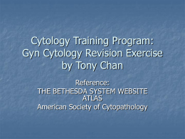 Gyn Cytology Revision