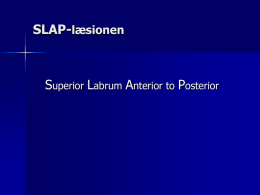 SLAP-læsionen