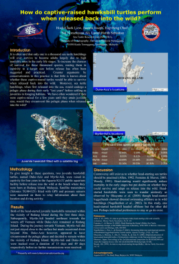 Duke-Myrtle-poster - SEATRU UMT | Sea Turtle Research Unit