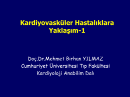 1320323360_1385 - Prof.Dr. Mehmet Birhan Yılmaz