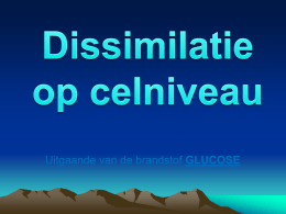 Dissimilatie - BIOLOGIEPAGINA.nl
