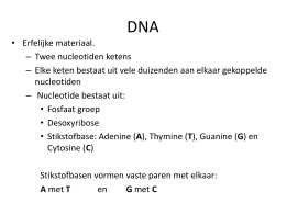 DNA (Am)