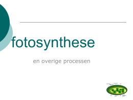 PowerPoint Basisstof 4: Fotosynthese