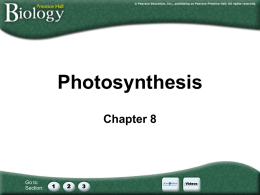 Photosynthesis