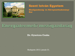 Dr. Gyuricza Csaba: Energiatermelő mezágazdaság