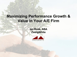 Managing a Growing Firm