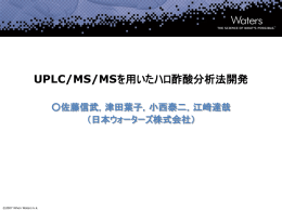 タイトルの入力（24ｐｔ） 日本語フォント MS UI Gothic 英語フォント Verdana