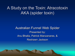 Toxin: Atracotoxin aka (spider toxin)