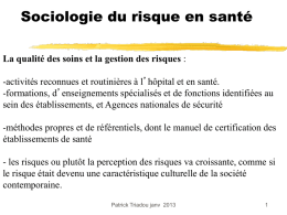 Sociologie culture risque (1) janv 2013 - P. Triadou