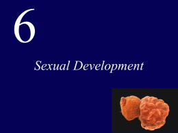 Lecture PowerPoint Presentation for Chapter 6