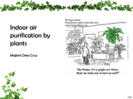 Indoor air purification by plants