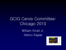 Cervix Cancer Committee - William Small Jr. & Satoru Sagae