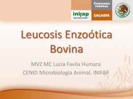 Leucosis Enzoótica