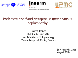 Podocyte and food antigens in membranous nephropathy (PPT