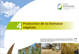 La production de la biomasse végétale - Biomasse