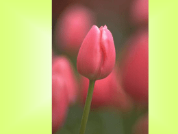 (theoretical yield/total mass of all reactants) X 100