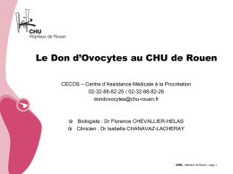 le DO au CHU Rouen (topo Evreux oct 2014)
