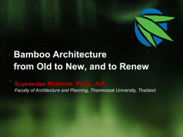 PowerPoint Template - The World Bamboo Organization