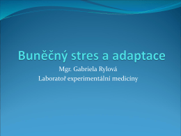 Buněčný stres a adaptace - Laboratoř experimentální medicíny