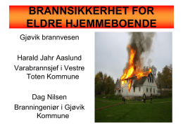 Dag Nilsen, brannsikkerhet