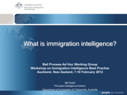 What is immigration intelligence?